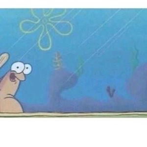 Meet your Posher, Jayla